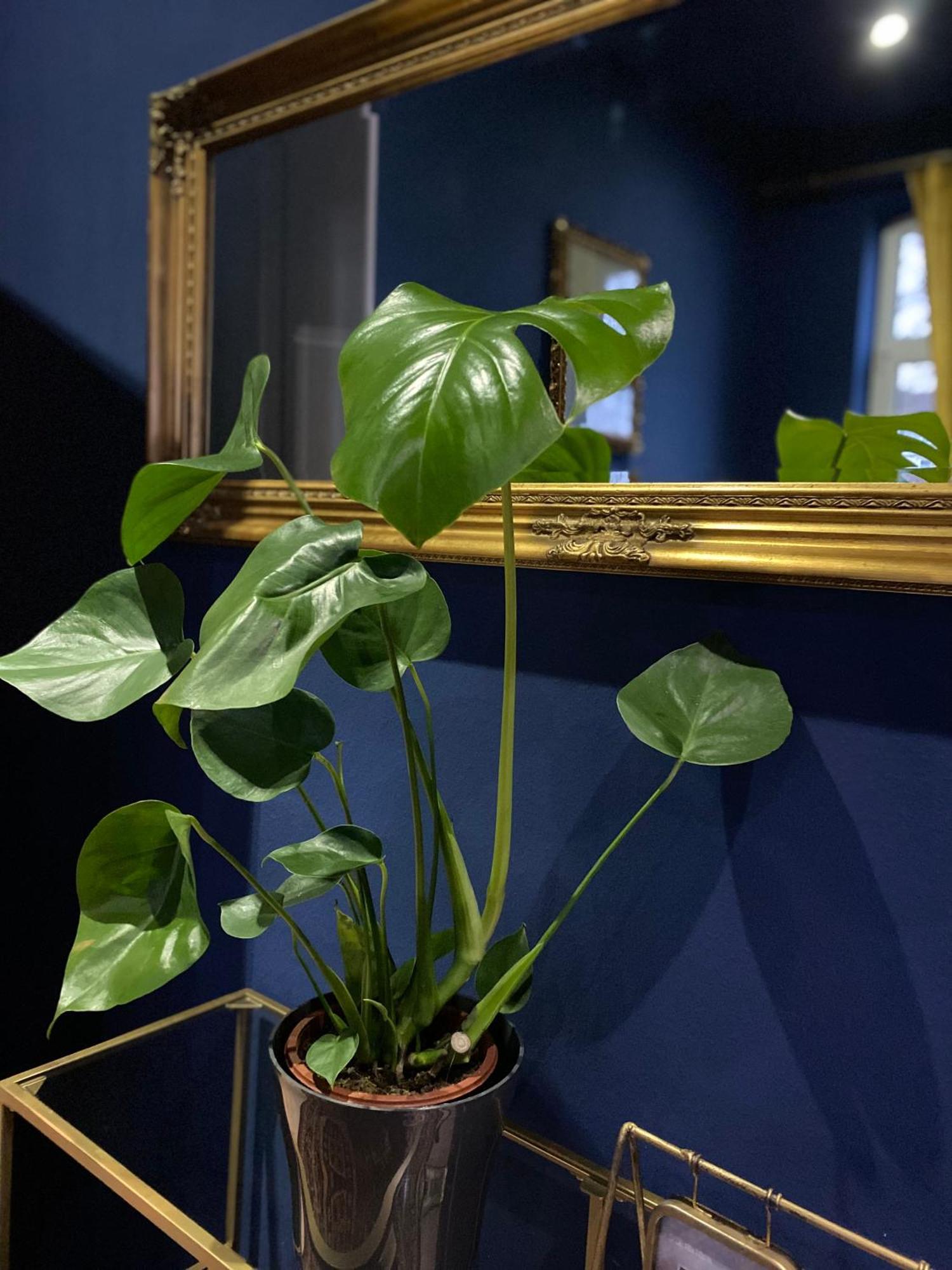 Apartment Birmingham 策勒 外观 照片